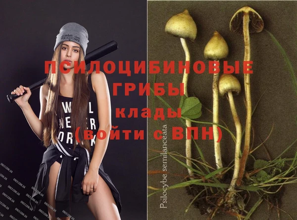 ешки Покров